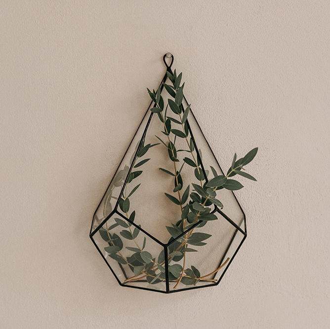 Настенный флорариум "Капля"