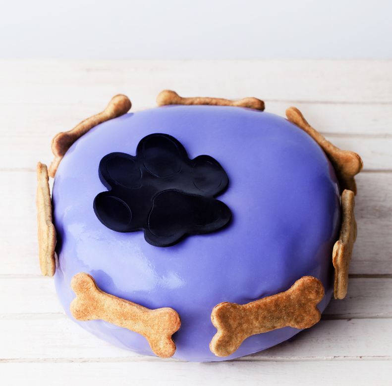 Торт "Лапка" (размер М)