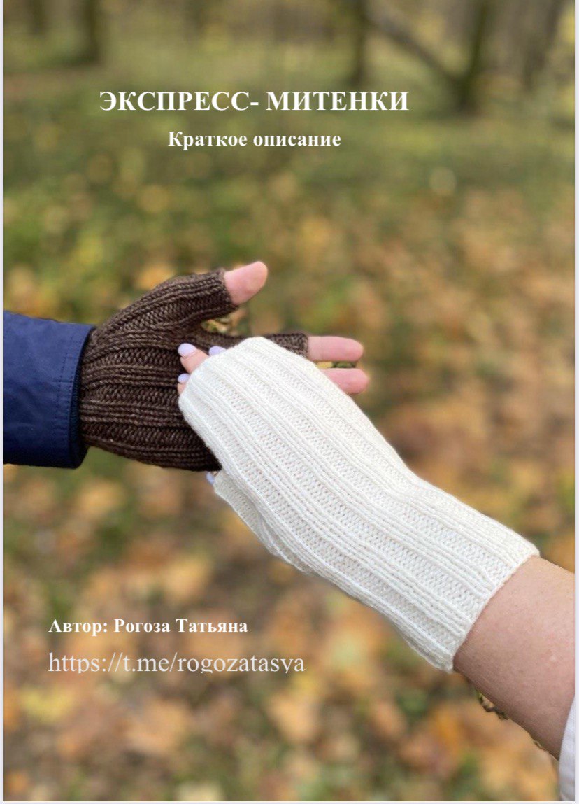 Краткое описание #Экспресс_митенки