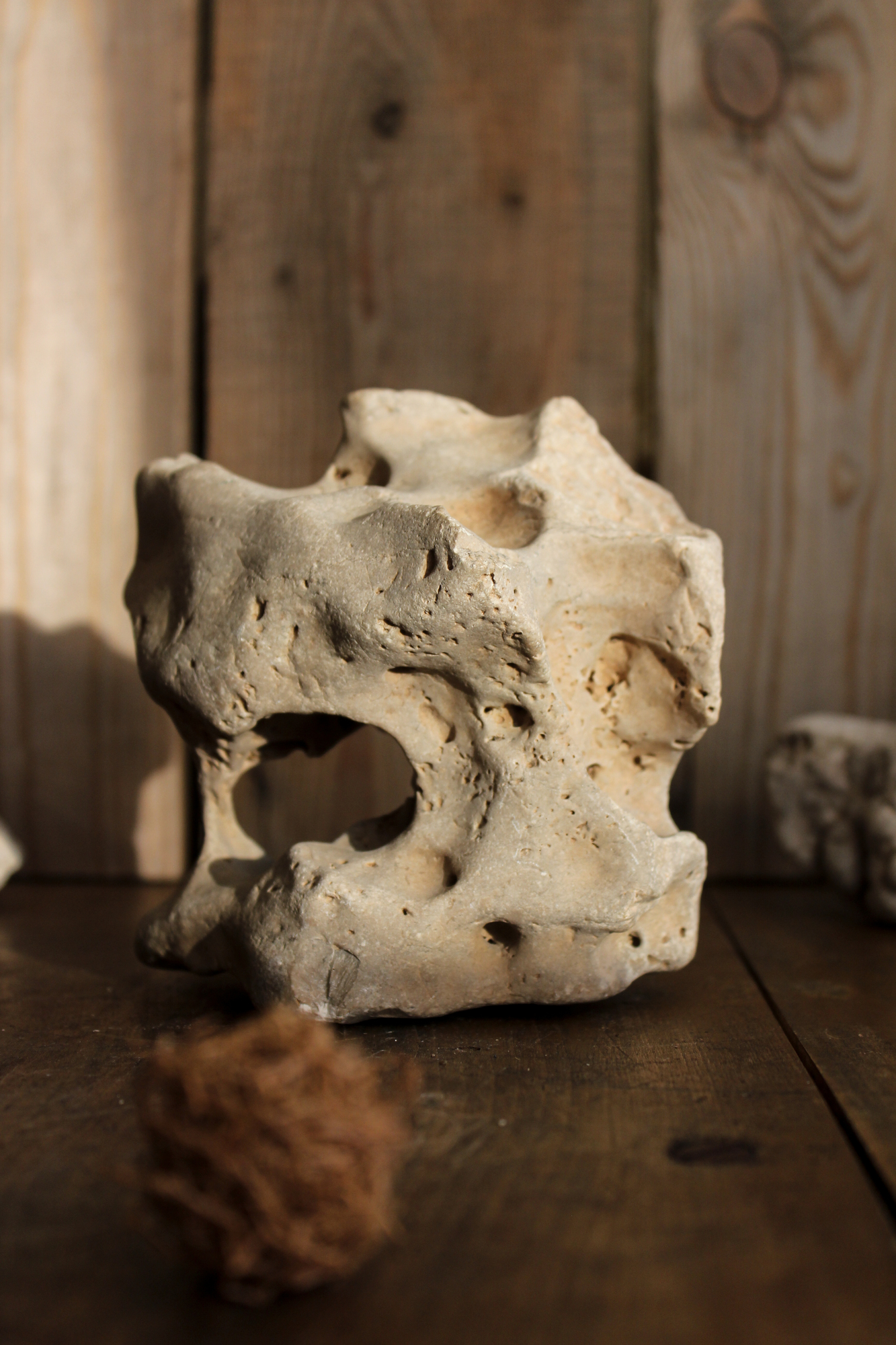 Окаменелый известняк "Галактика"