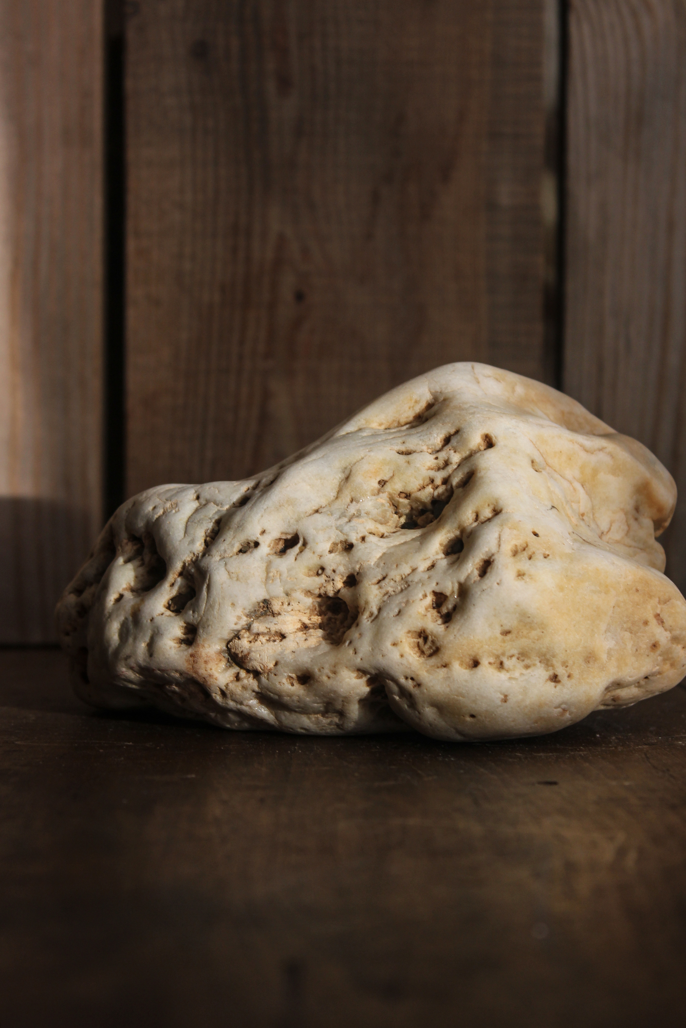 Окаменелый известняк "Лунный"