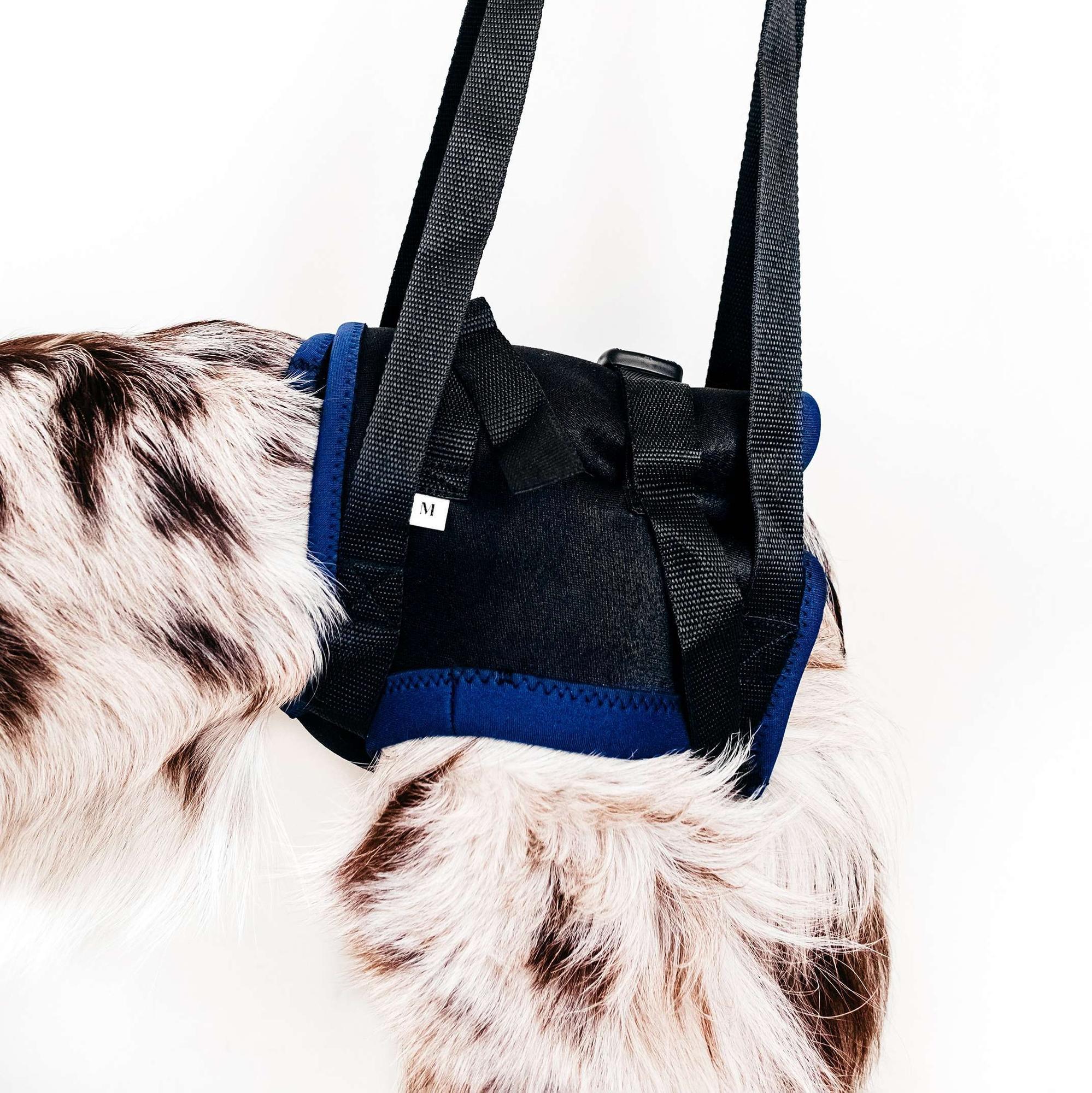 Rear Harness for dog - size M  -