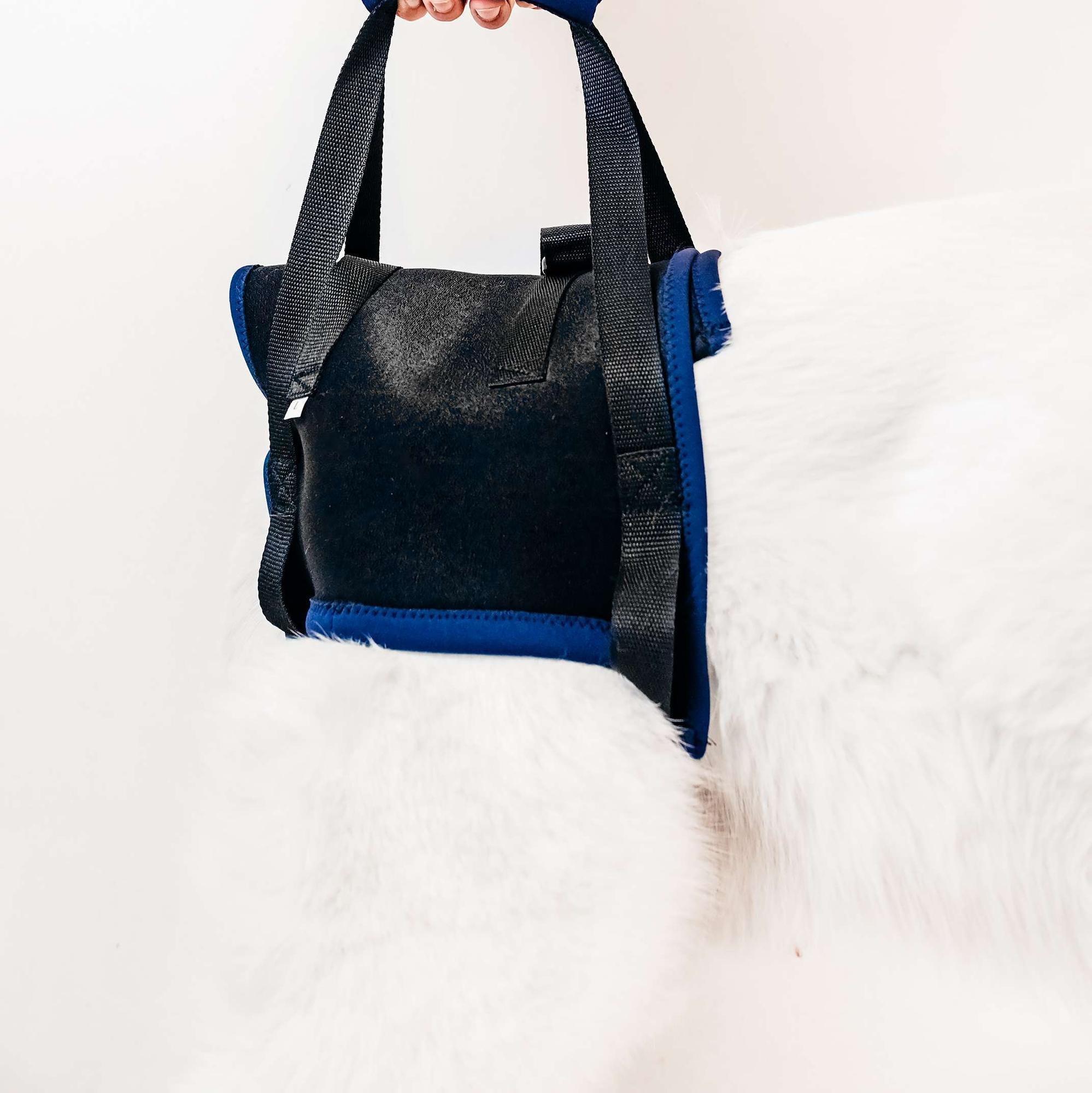 Rear Harness for dog - size L  -