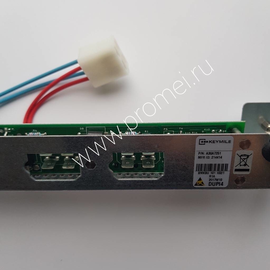 DUPI4 A30A7251