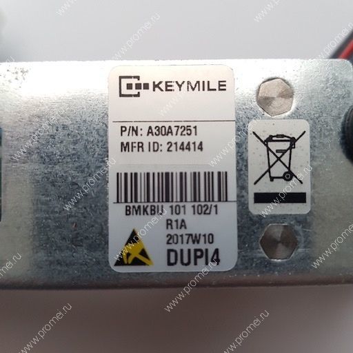 DUPI4 A30A7251