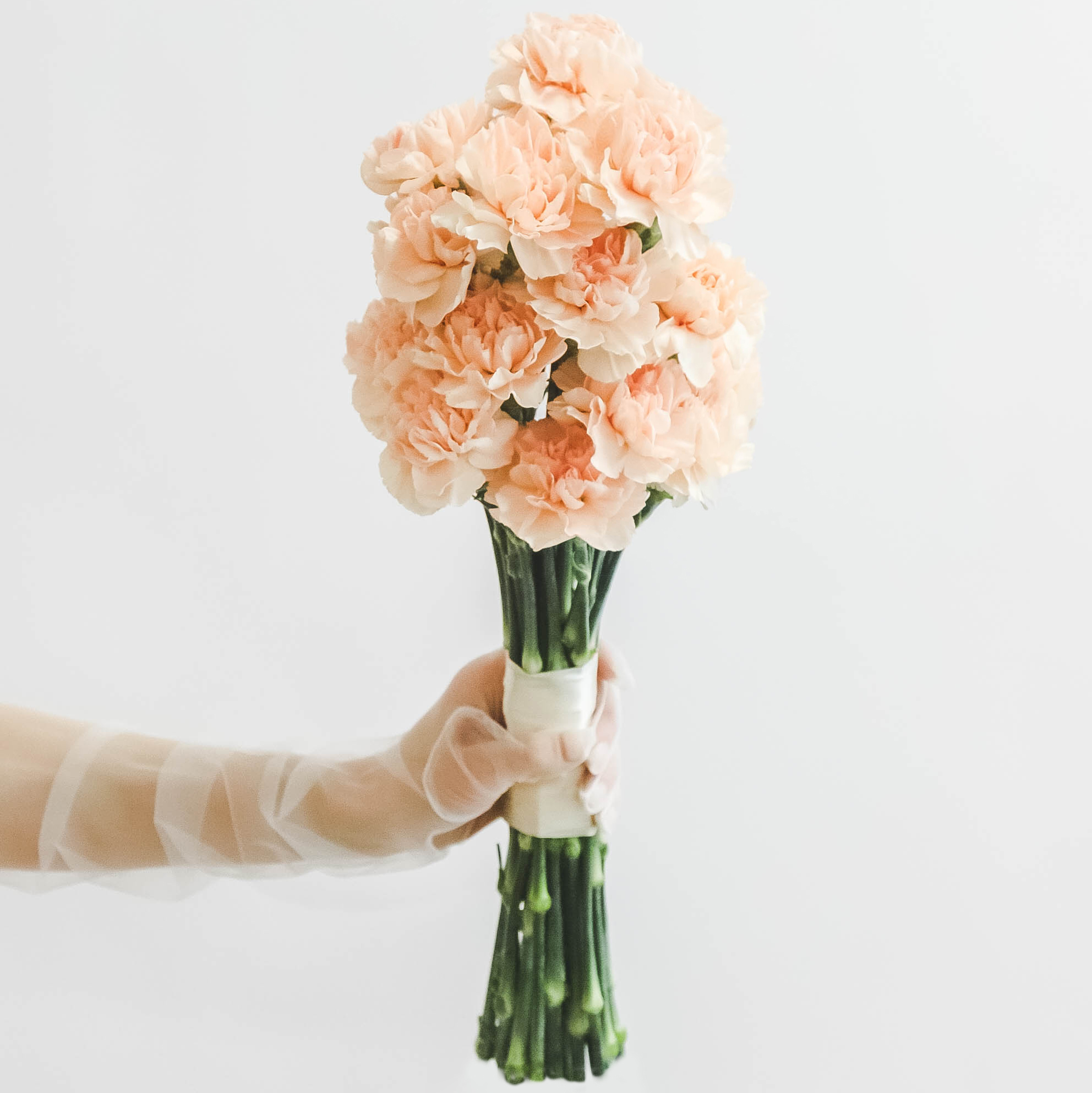 Букет невесты из диантуса APRICOT