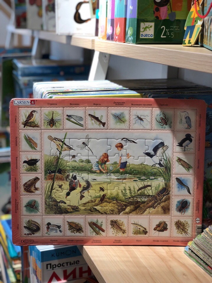 Пазл Пруд, 50 деталей