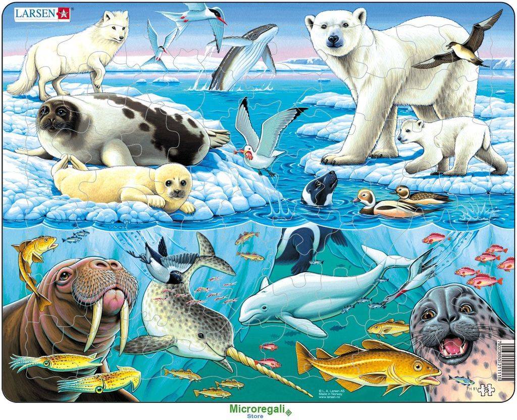 Пазл Арктика, 75 деталей