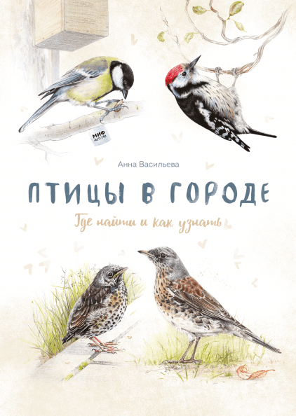 Птицы в городе