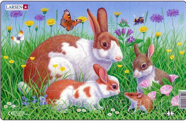 Пазл Кролики, 8 деталей