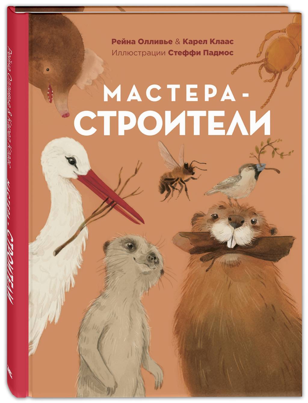 Мастера-строители
