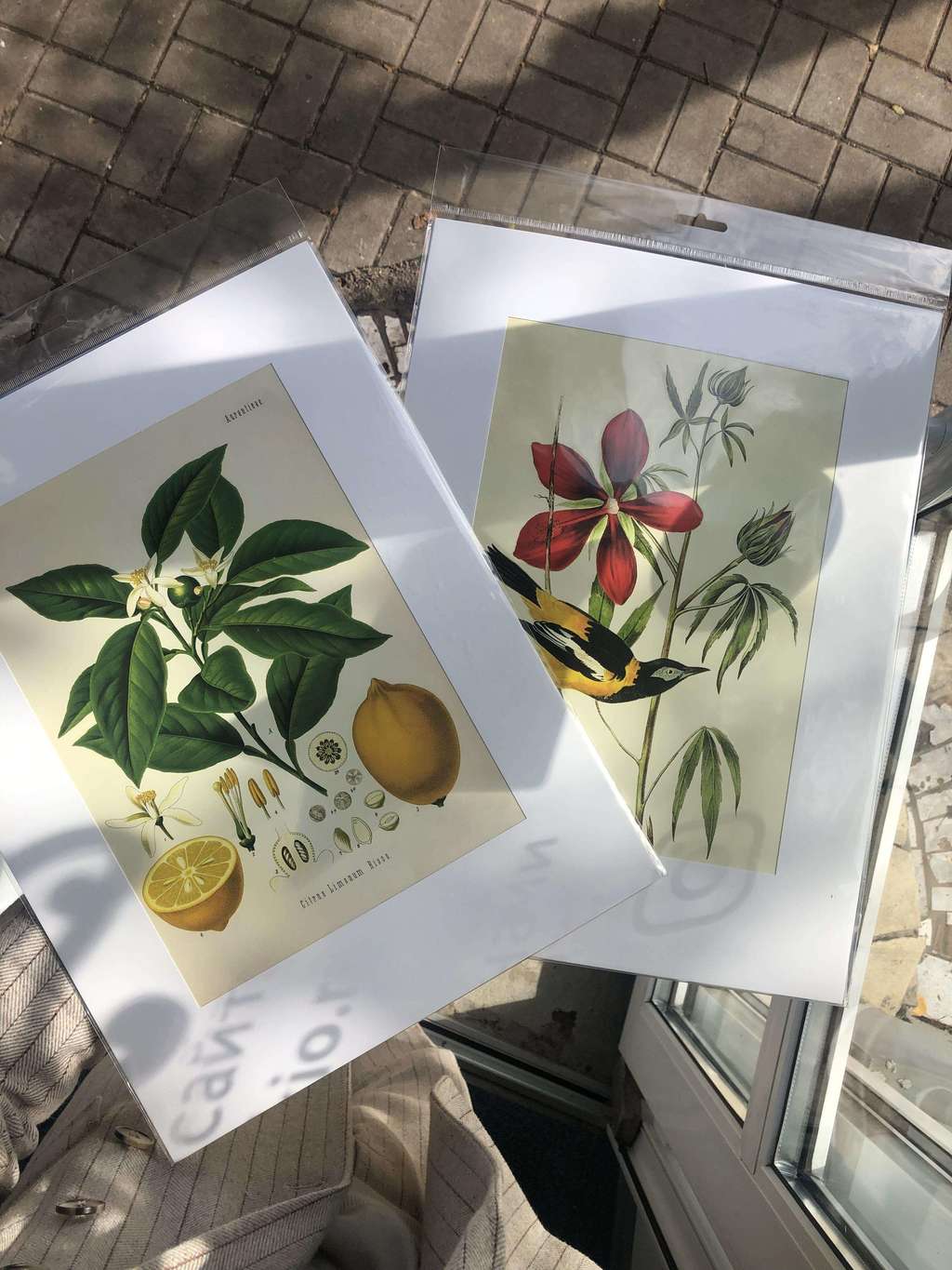 Постер 30*40 в ассортименте