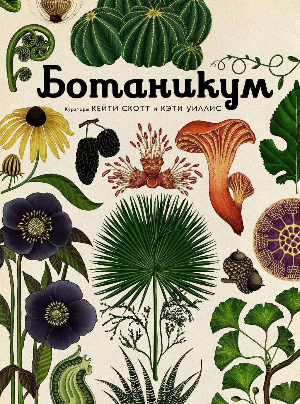 Ботаникум/ Кэти Уиллис