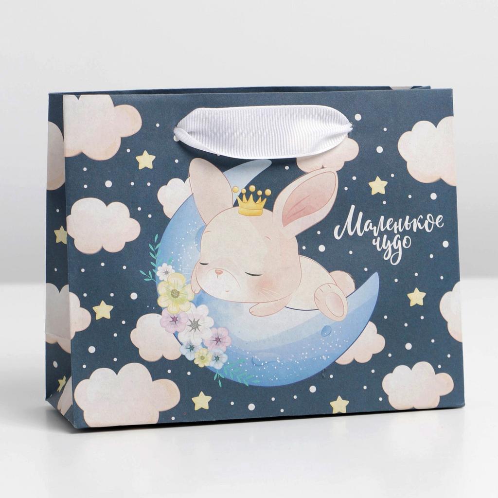 Пакет крафтовый вертикальный «Маленькое чудо»,