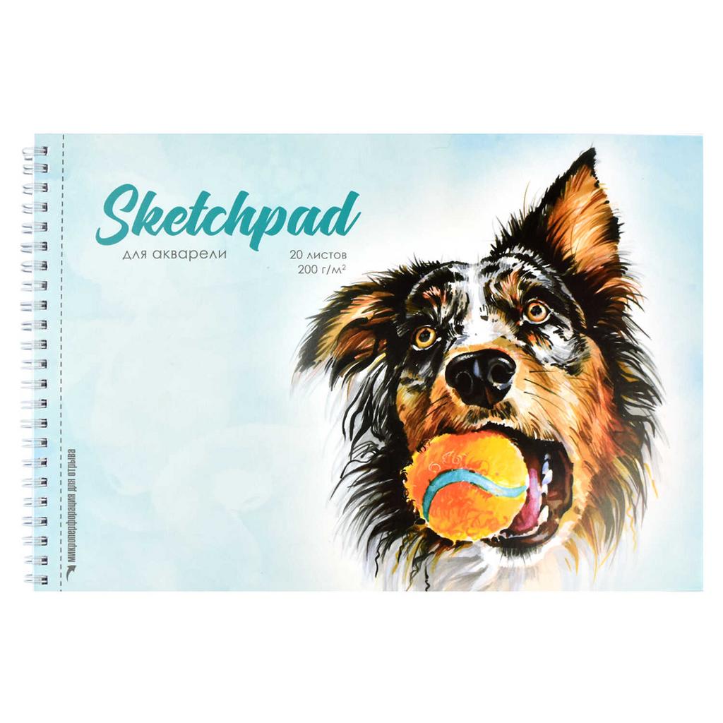 Скетчпад, размер290х200 мм, количество листов 20