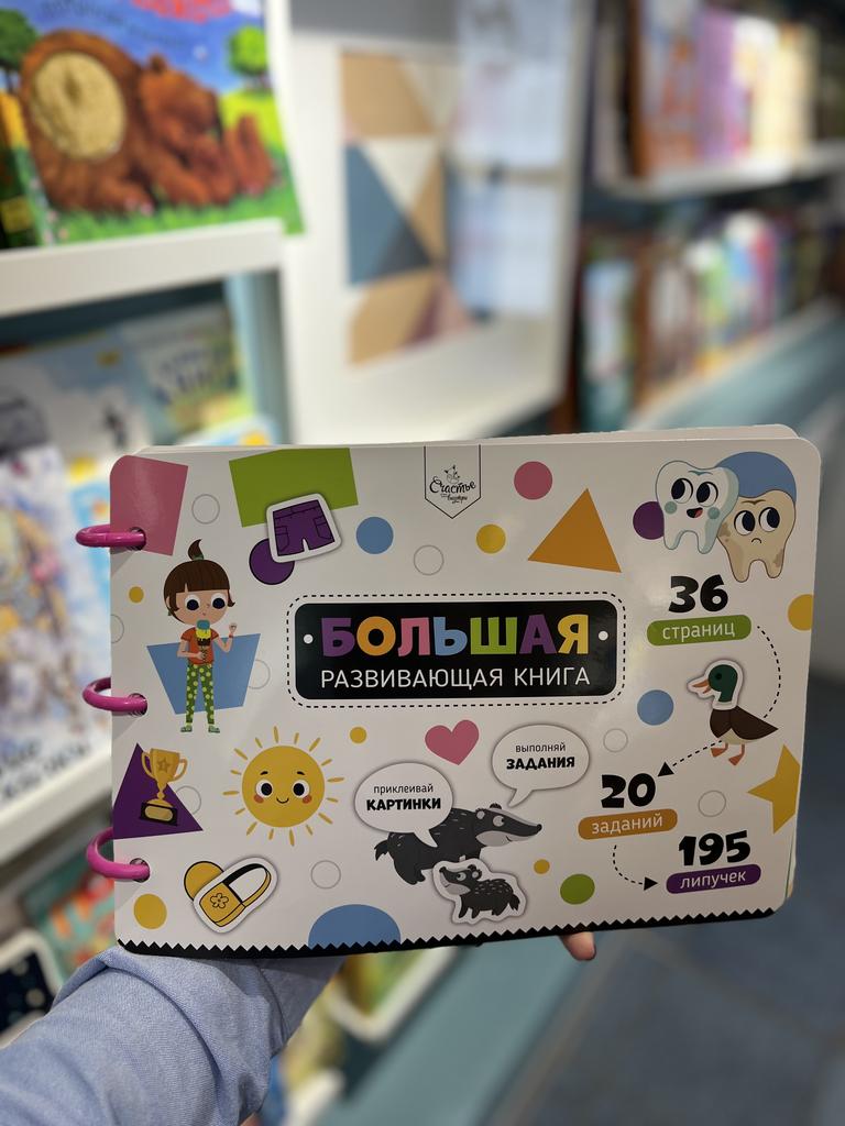 Большая развивающая книга с заданиями и липучками