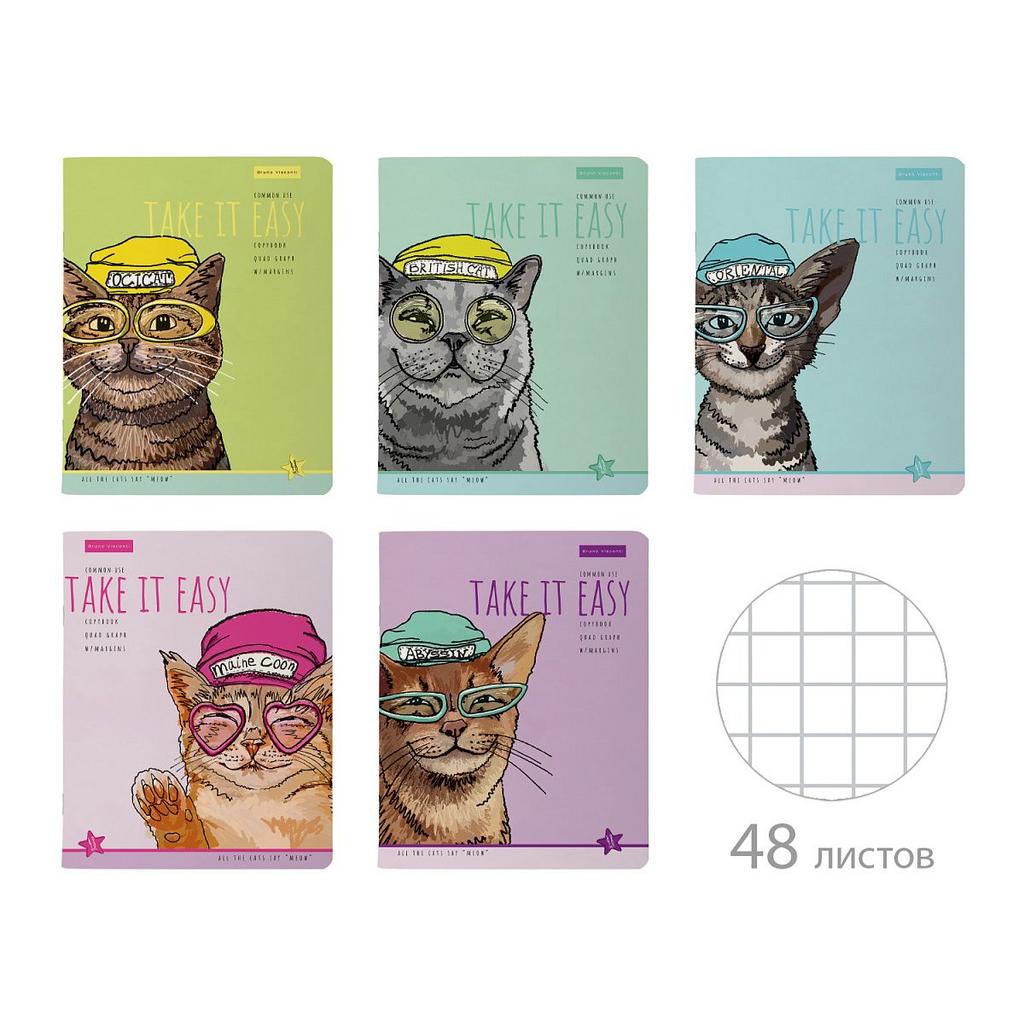 Тетрадь А5 48л кл. BV "Easy life. Коты" мат.лам., бел.100%