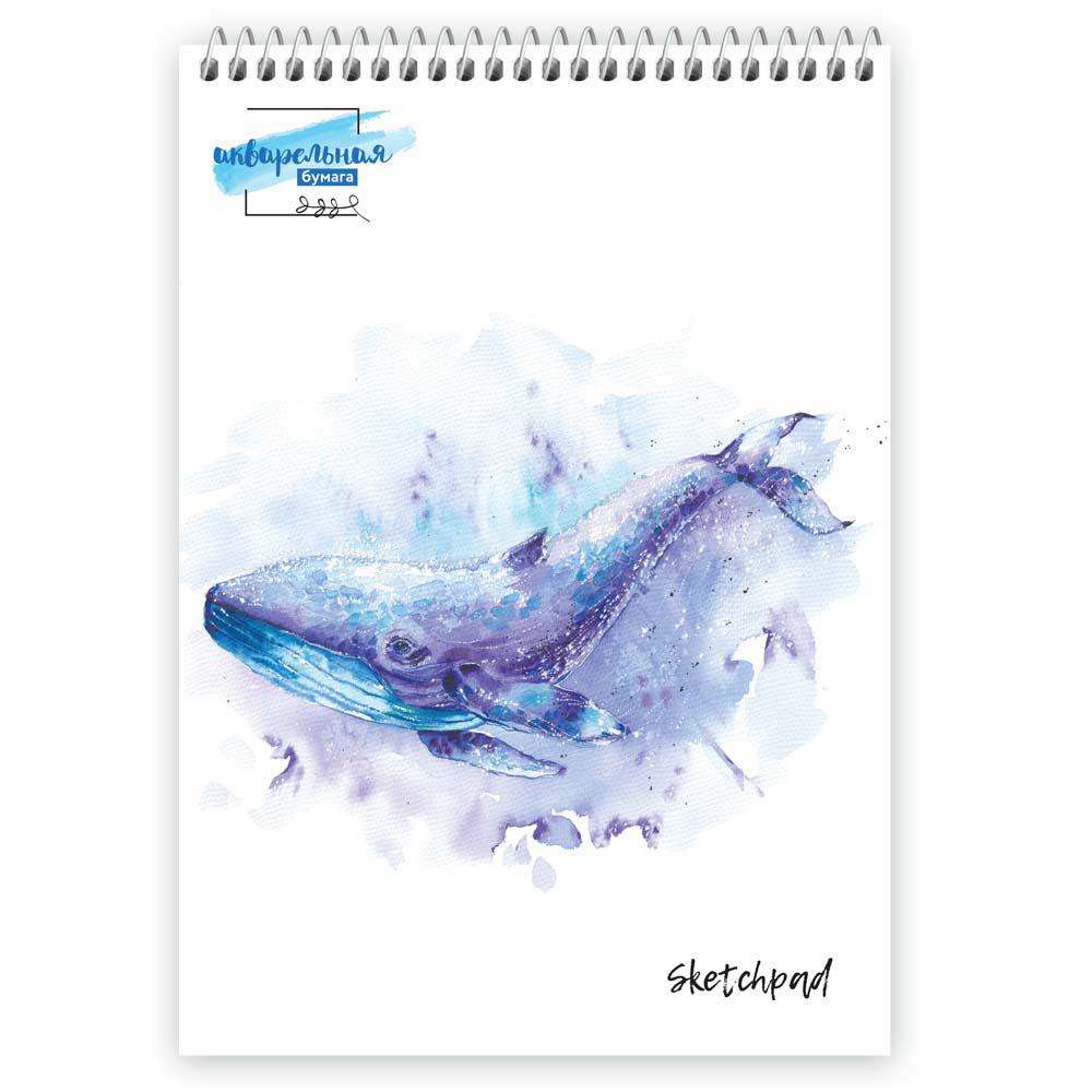 Альбом для рисования (скетчпад) с акварельной бумагой 200 г/м2 A4 30 х 21 см на спирали 20 л. 02_кит среднезернистая