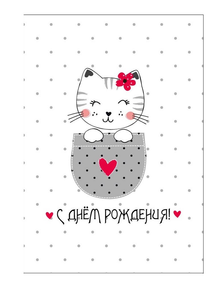 Пакет бумажный подарочный L "С Днем рождения. Котенок в кармашке с сердечком"