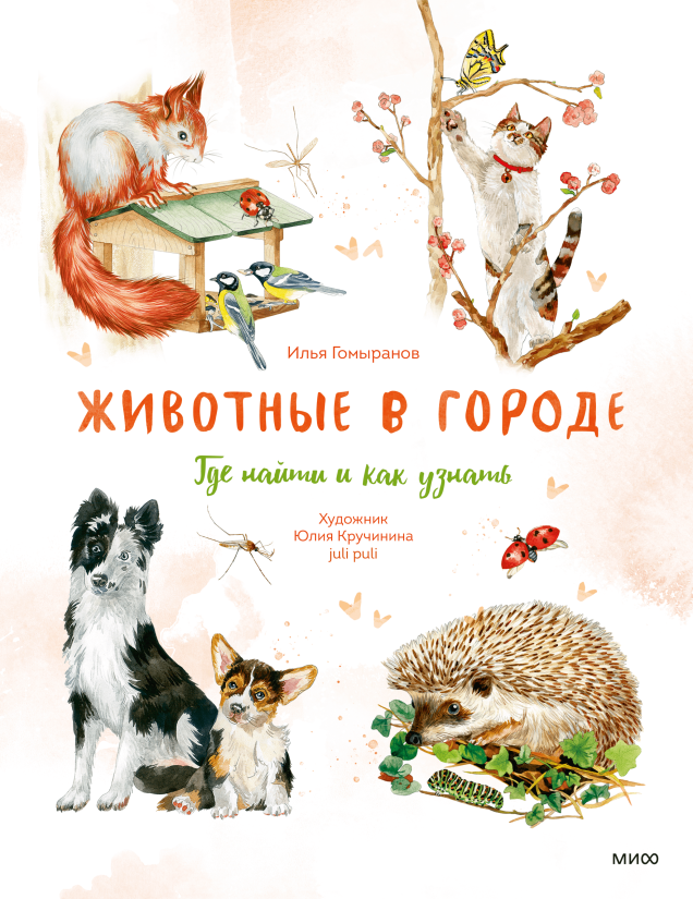 Животные в городе. Где найти и как узнать