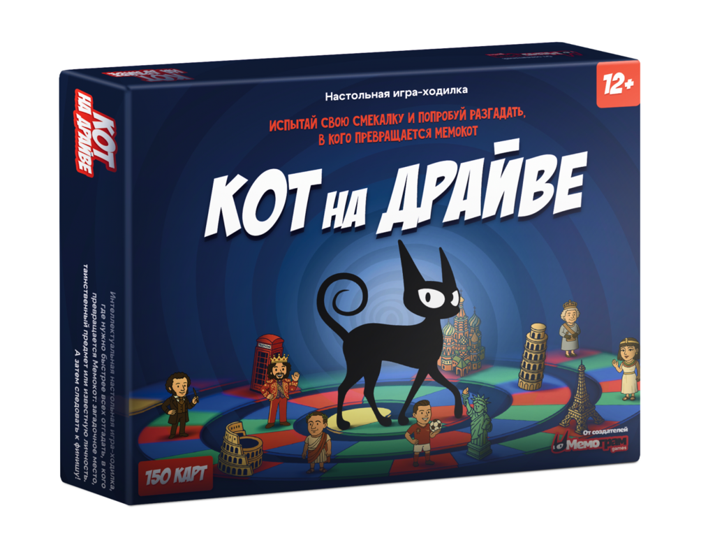 Кот на драйве