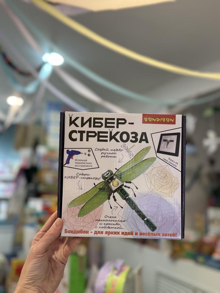 Конструкторский набор для творчества Кибер-стрекоза, Bondibon, подсветка, рамка
